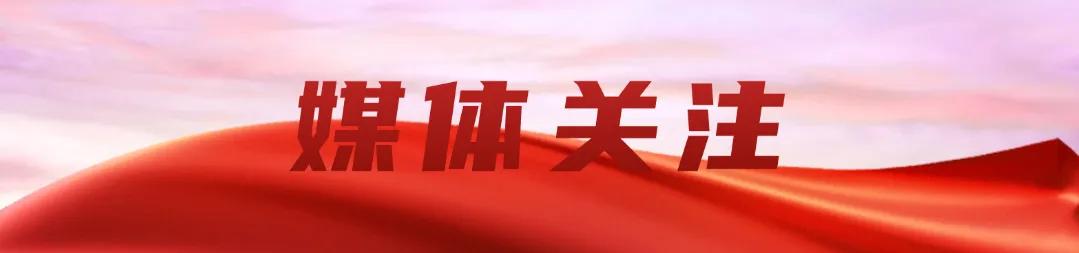 作      者丨武艳红